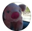 Ariel's profile picture