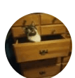 Sierra's profile picture