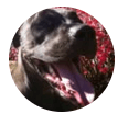 Tony's profile picture